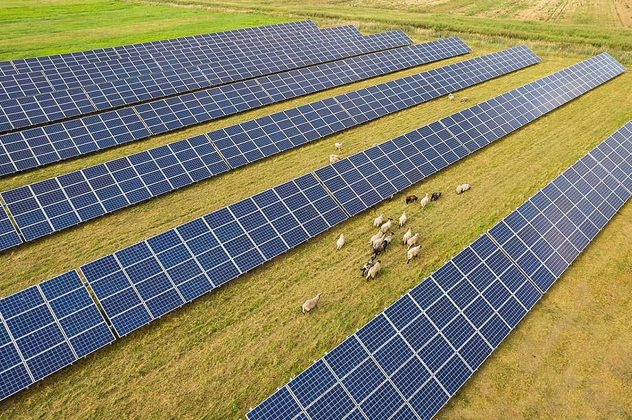 solar panels for farms uk